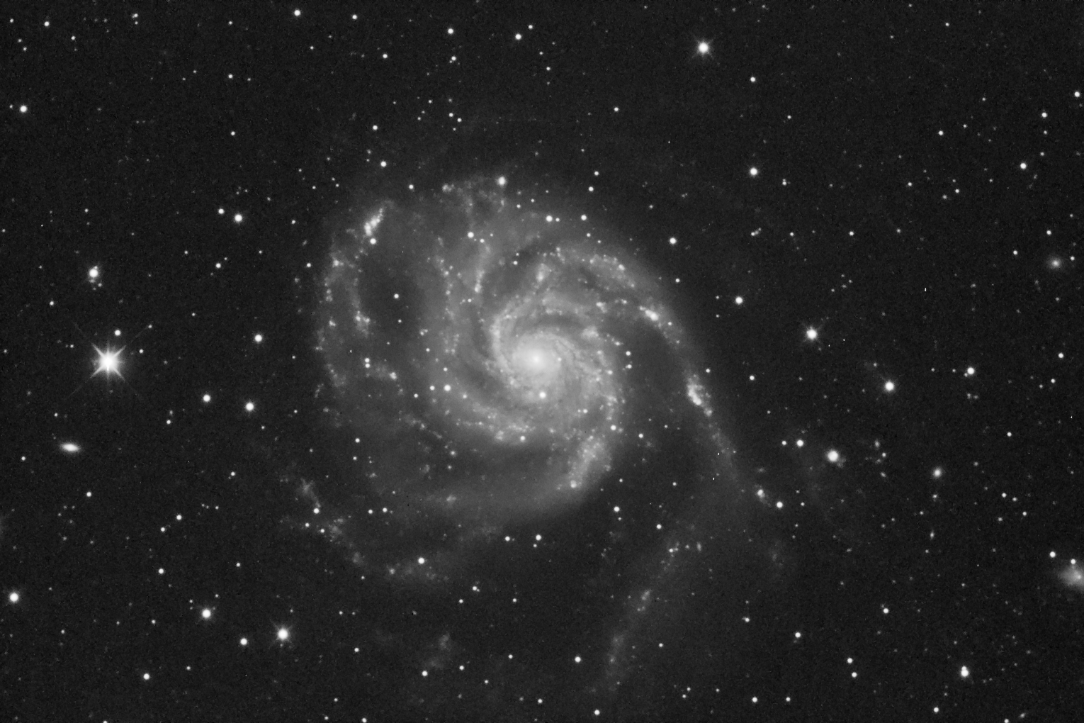 M101 - 2019