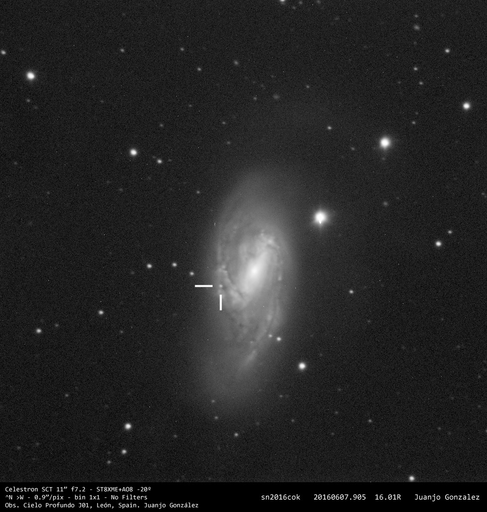 SN 2016cok - 2016-06-08