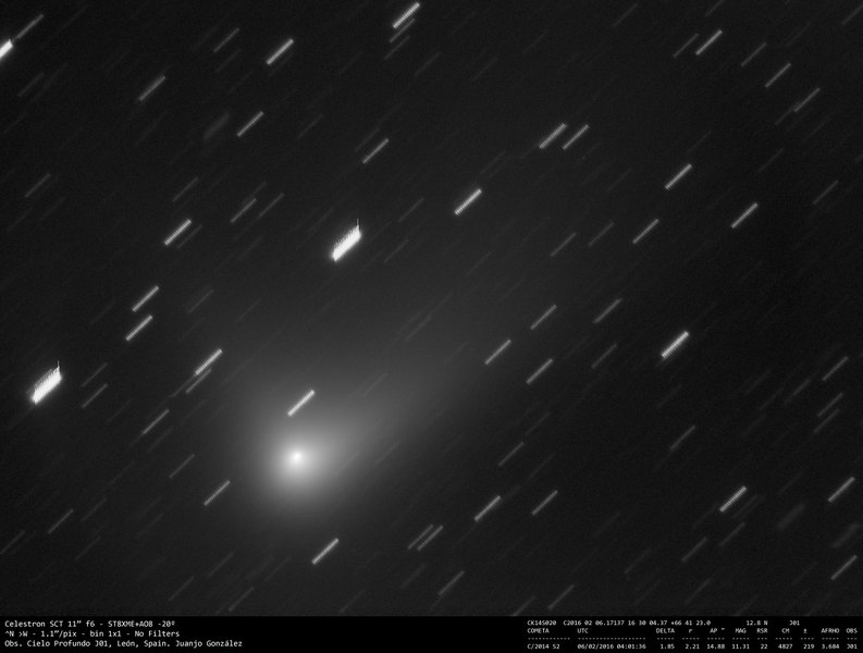 C/2014 S2 (PANSTARRS) - 2016-02-06