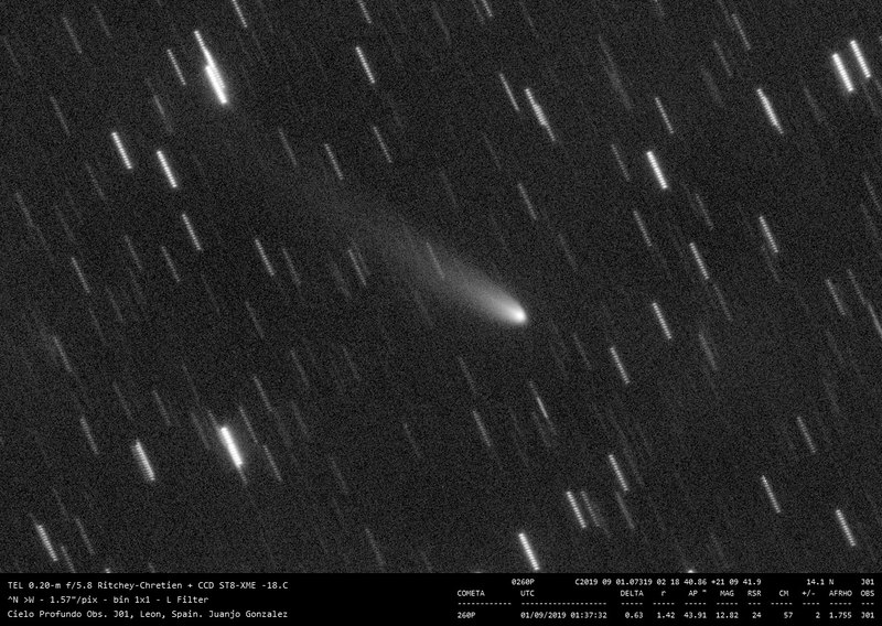 260P/McNaught - 2019-09-01