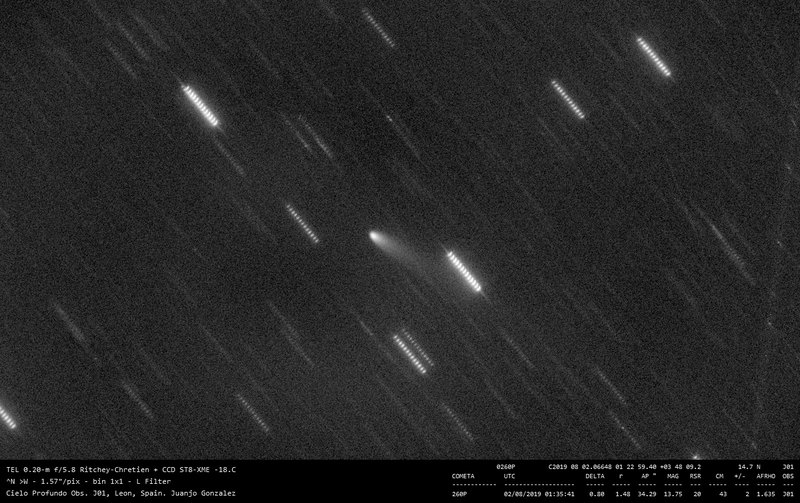 260P/McNaught - 2019-08-02