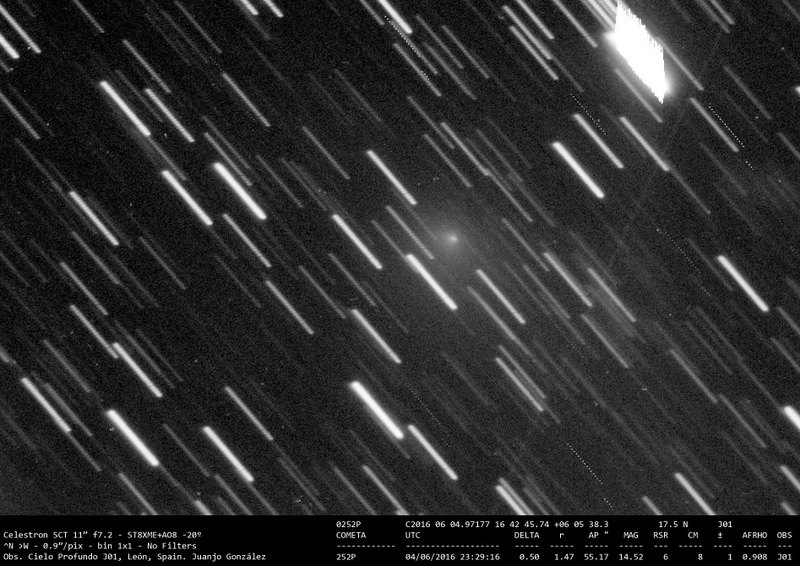 252P/LINEAR - 2016-06-04