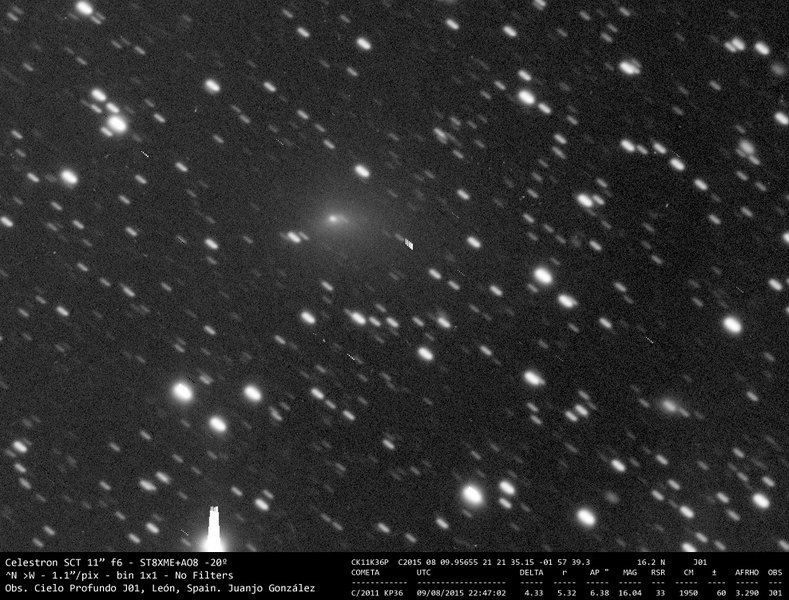 C/2011 KP36 (Spacewatch) - 2015-08-10
