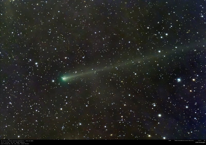 220P/McNaught - 2026-09-08