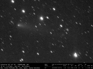 Latest dated photograph of 61P/Shajn-Schaldach