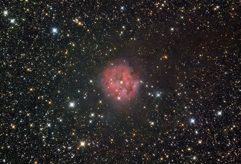 Cocoon Nebula - 2024-06-15
