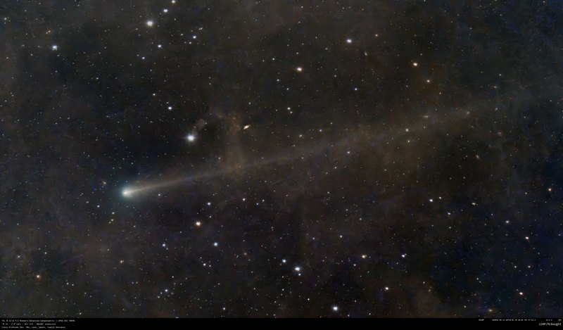 220P/McNaught