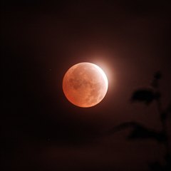 Latest dated photograph of August 2026 - Moon / lunar eclipse