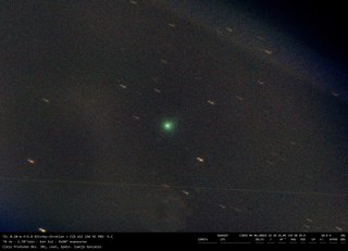 Latest dated photograph of Unidentified swan25f-20250406-j01
