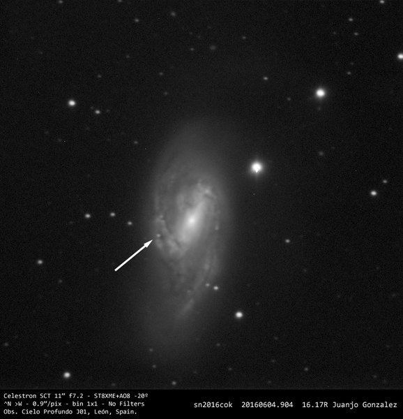 SN 2016cok - 2016-06-05