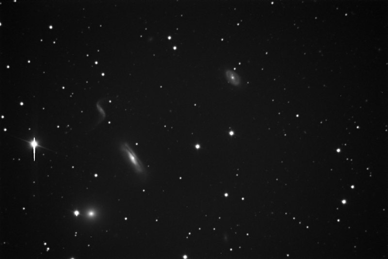 Galaxy group / cluster field - 2010