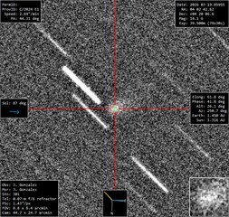 Latest dated photograph of C/2024 E1 (Wierzchos)