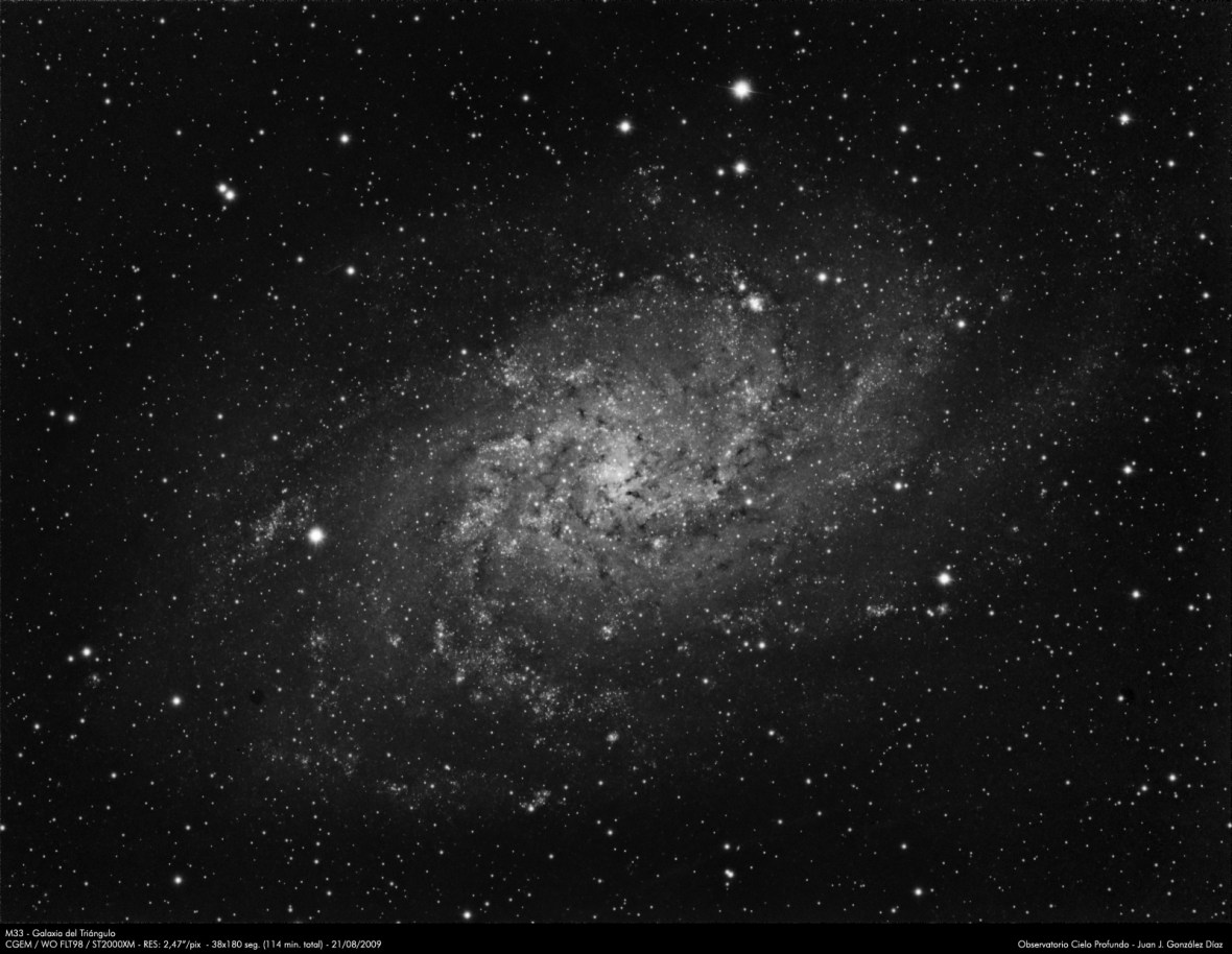 M33