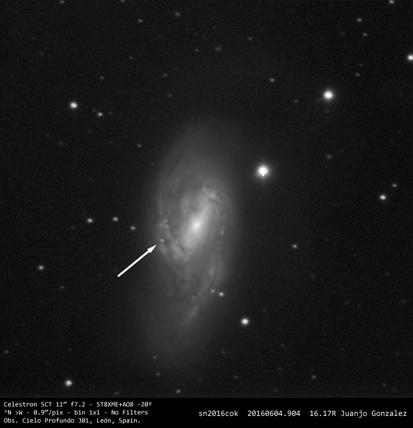SN2016cok